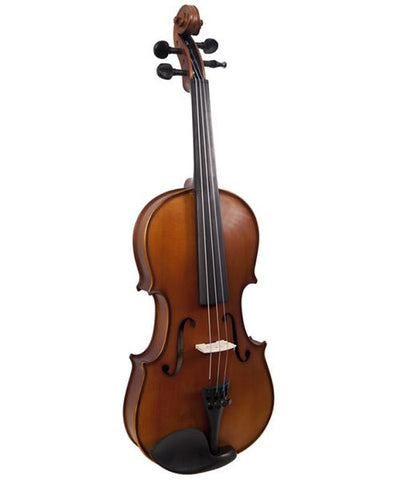 Sandner Violín 4/4, 300P-4/4 con Arco, Barbada y Estuche